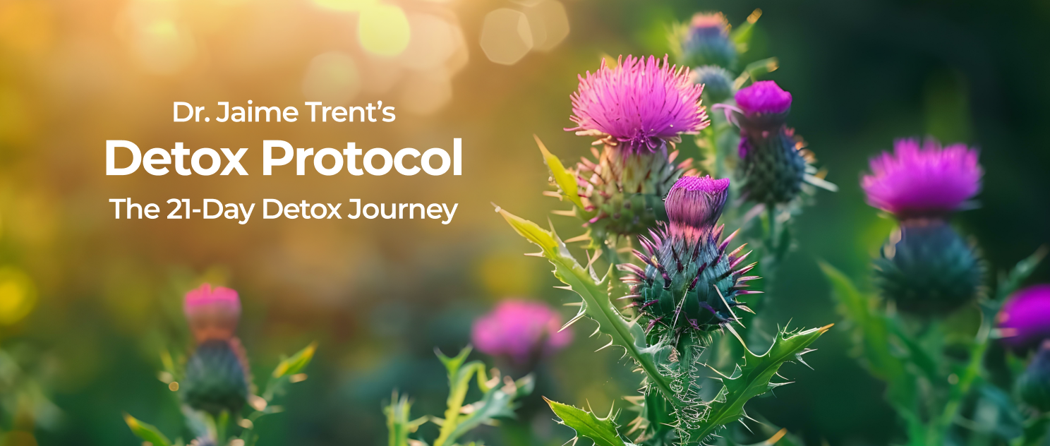 Protocols and Bundles