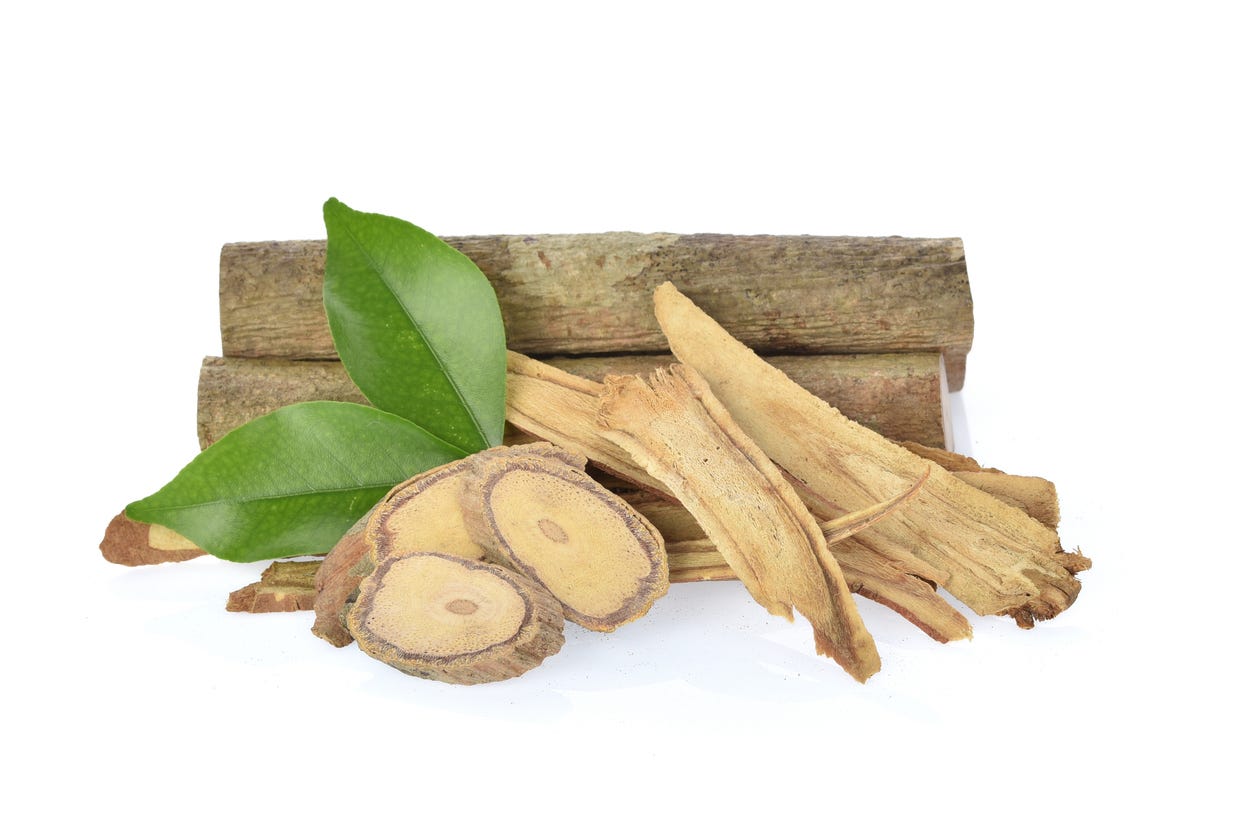 Tongkat Ali: Health Benefits, Uses, Dosage, And Side Effects