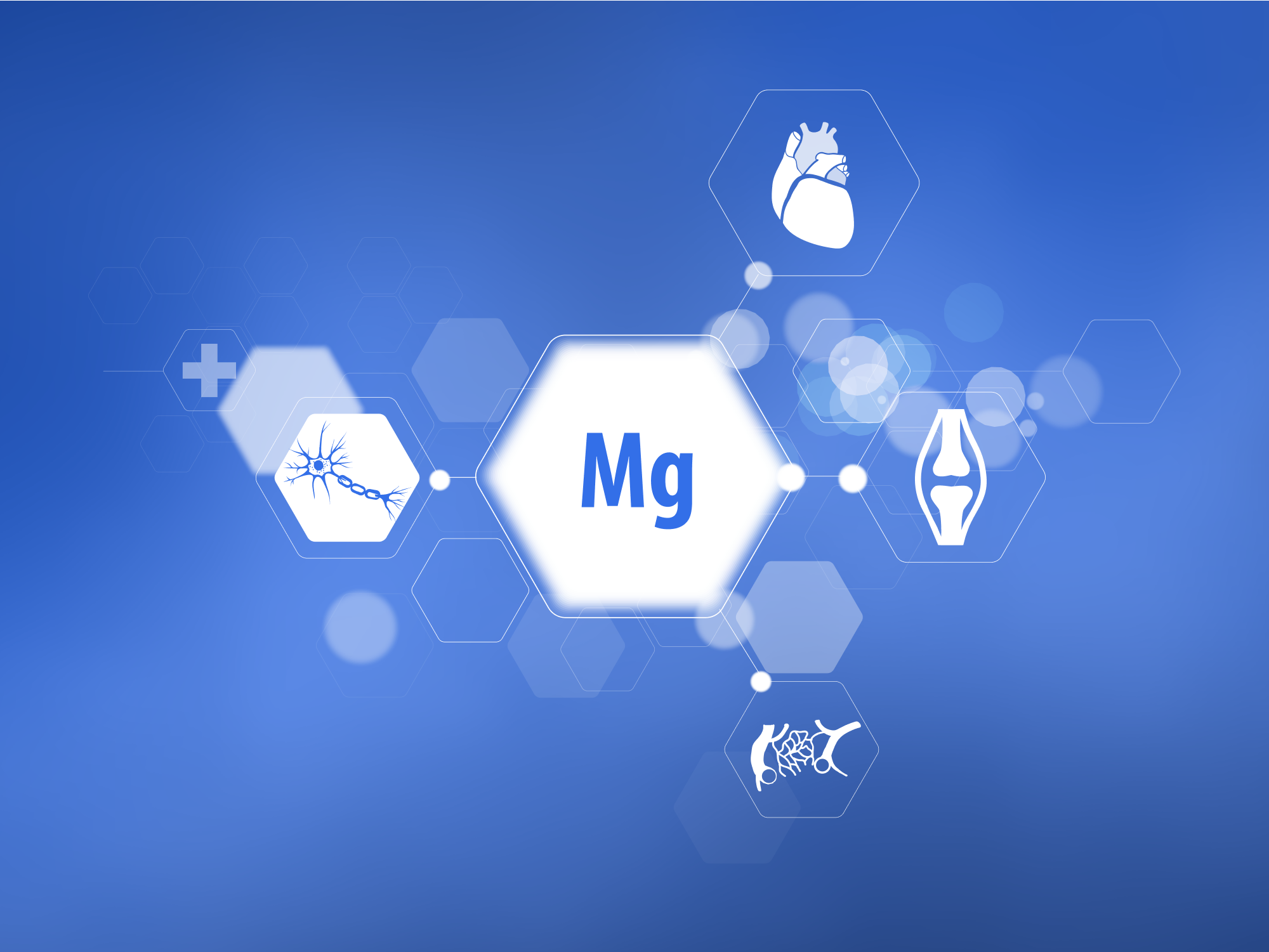 Premier Magnesium Glycinate – A Whole-Body Wellness Essential