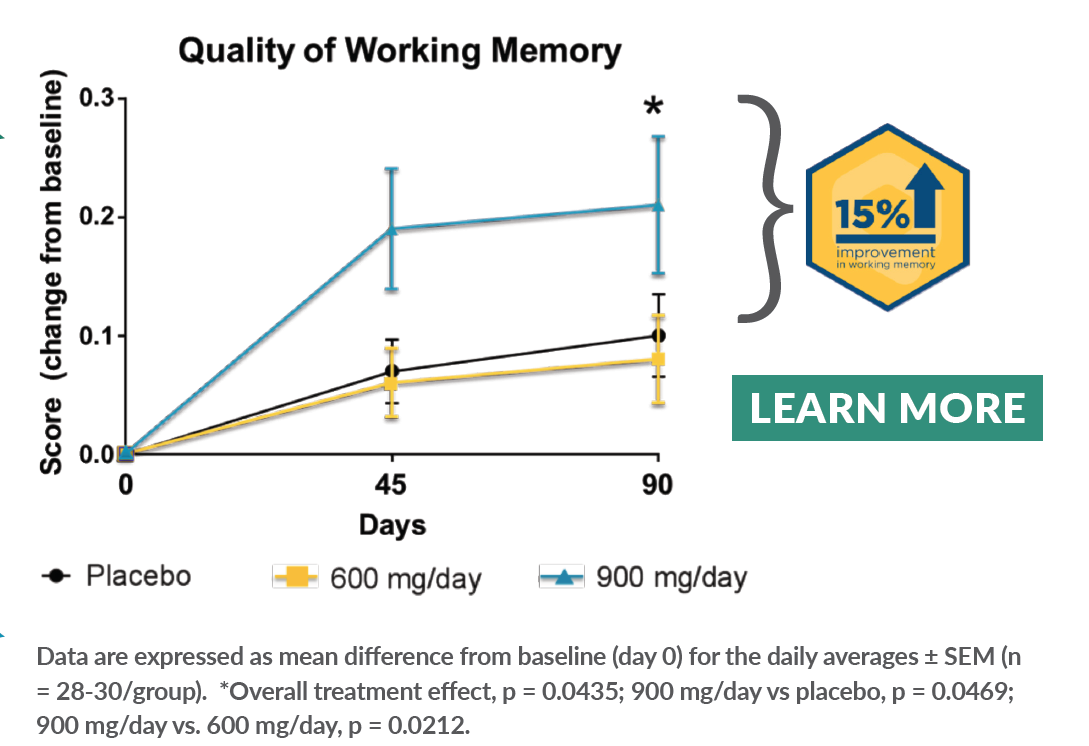 working memory explaination